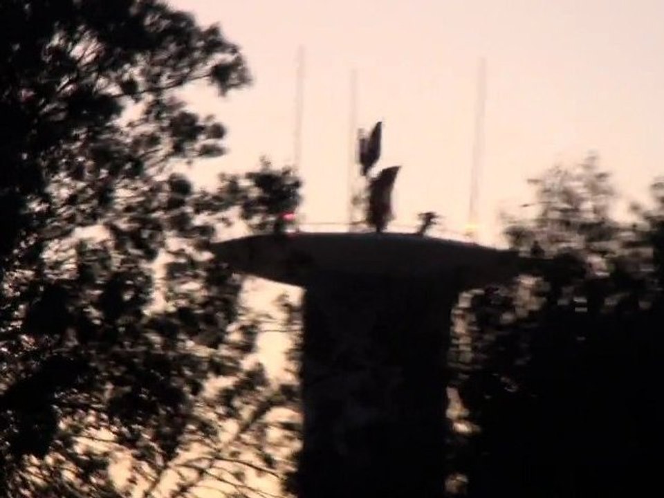 pL - chemtrails 03.02.2010