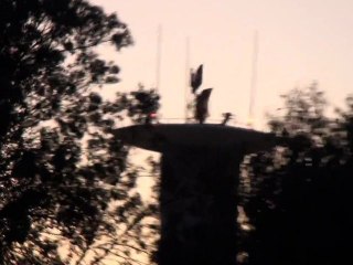 pL - chemtrails 03.02.2010