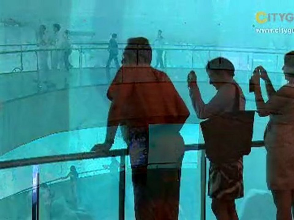 Oceanografic, Valencia