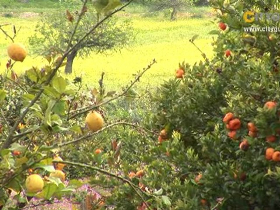 Son Brull Hotel, Palma de Mallorca