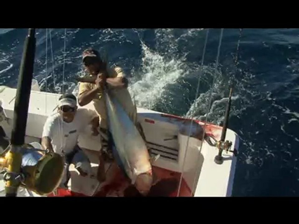 PV Sportfishing Review