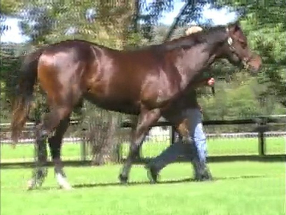 Lonhro ex Our Lady Grace parade