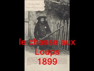 la chasse au loups
