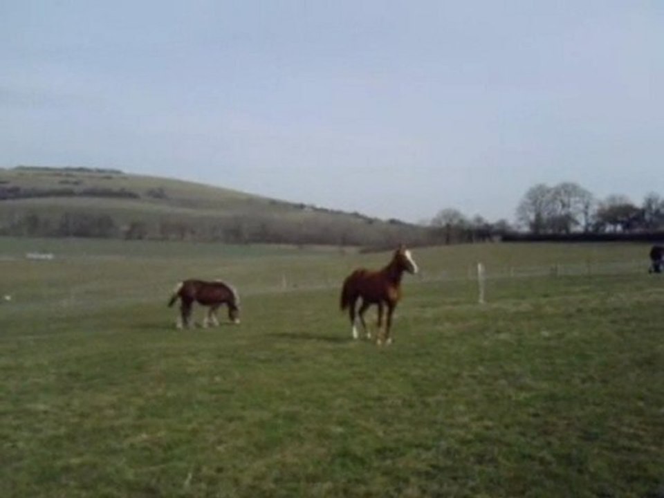 ulis au parc déchainés