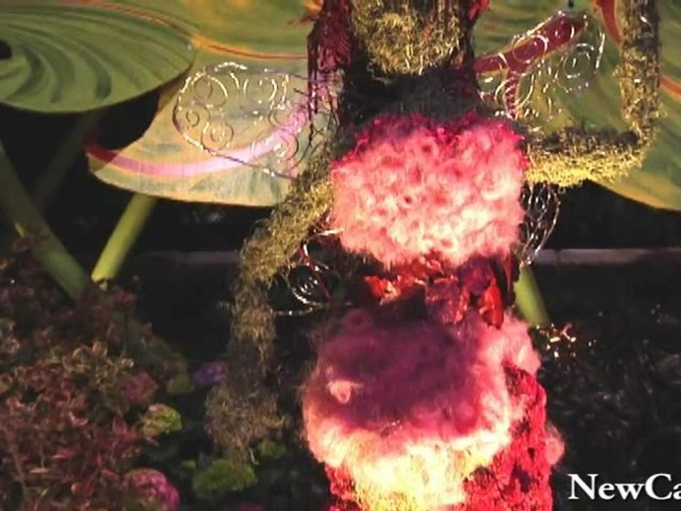 NewCa.com: 2010 Canada Blooms: Disney Fairies
