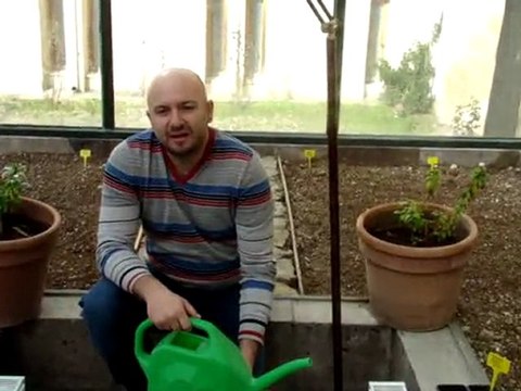 Organik Tarım - Kapadokya Meslek Yüksek Okulu