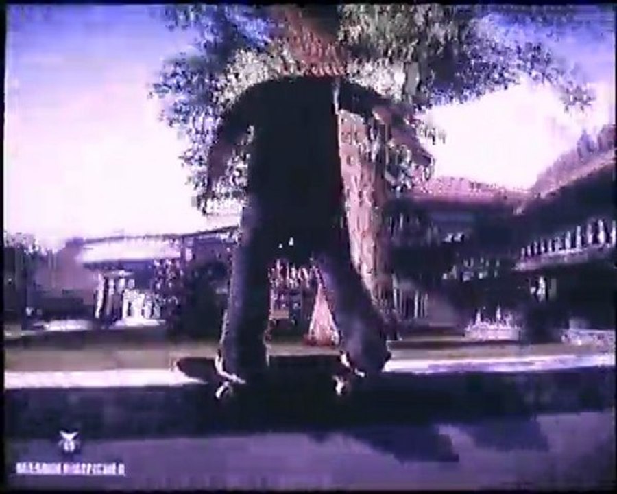 ea skate (le film)duffy,rodriguez, ladd,dyrdeck