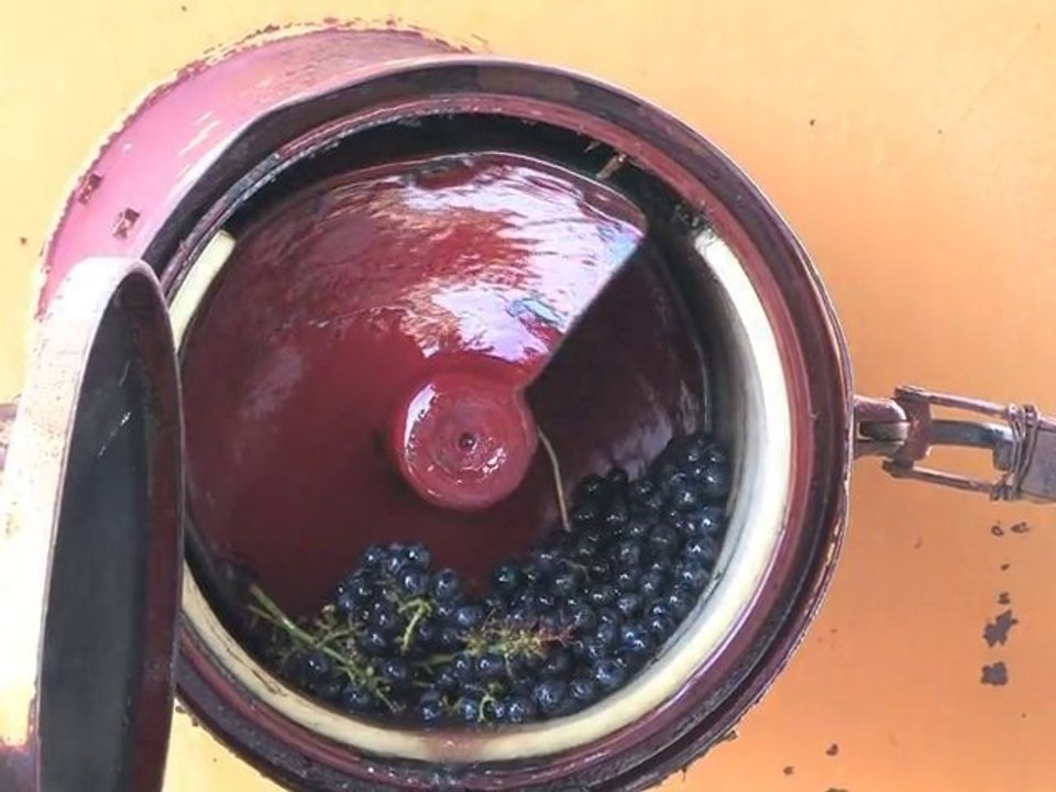 Chateau Cabannieux