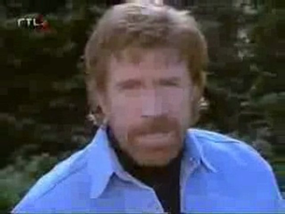 Chuck Norris Vs Bear