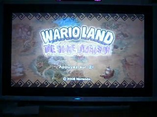 Wario Land The Shake Dimension