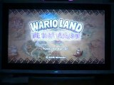 Wario Land The Shake Dimension