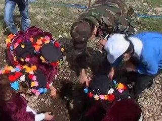 HAKKARİ’DE HALAYLI AĞAÇ BAYRAMI