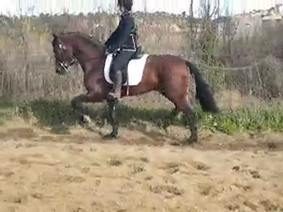 video negro 002