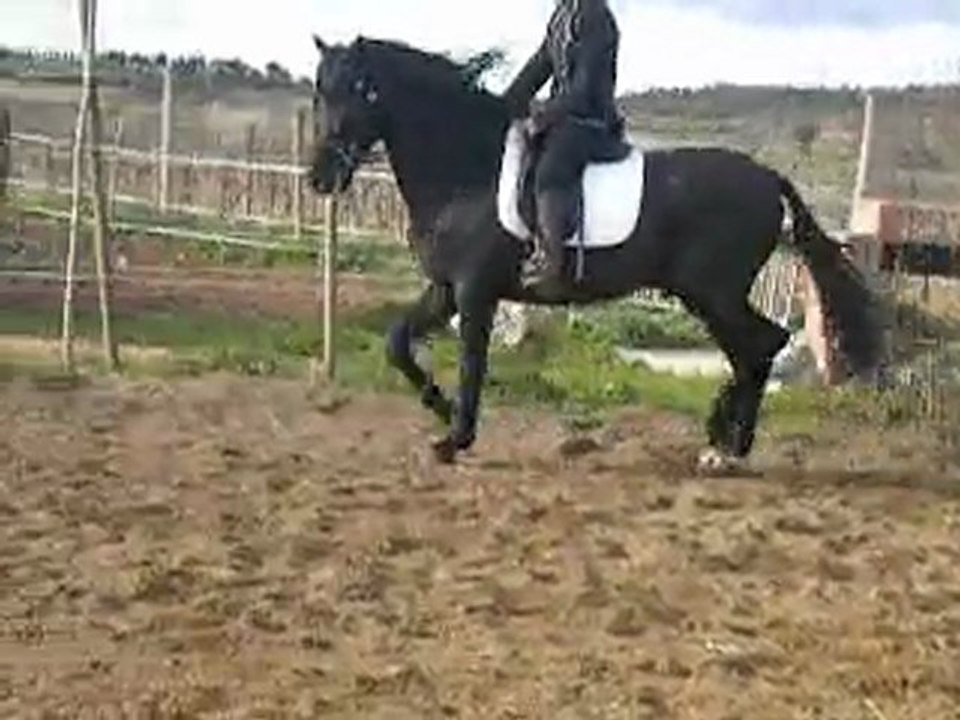 video negro 006