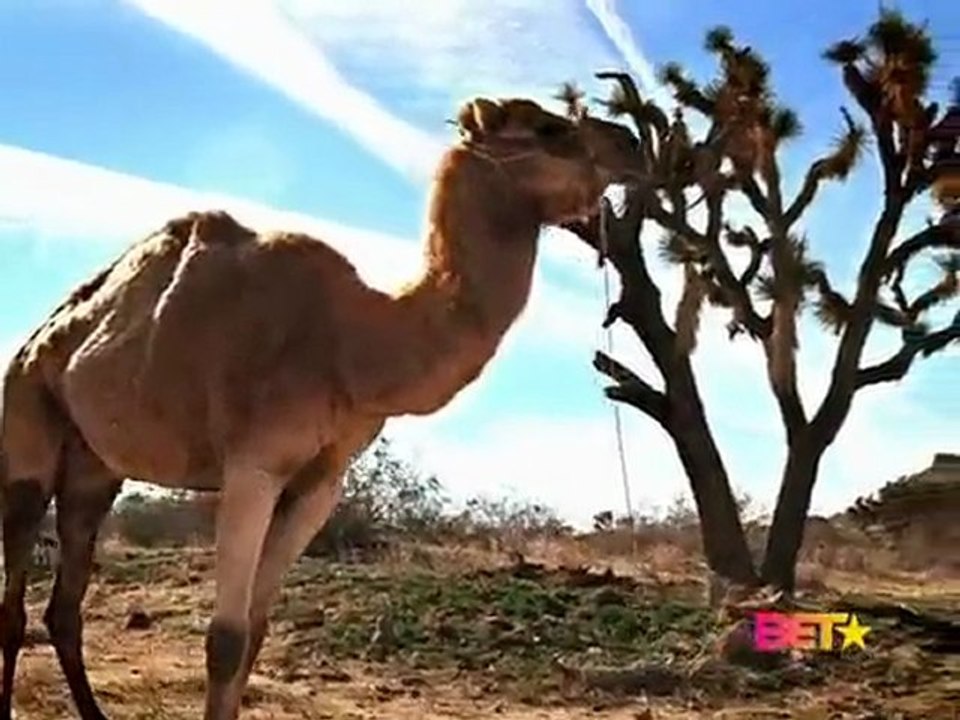 Nicki Minaj (Feat. Sean Garrett) - Massive Attack