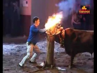 San Vicente Ferrer 2009  Vall de Uxó (Castellón)