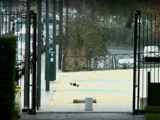 Parrot AR.Drone - Flight Demo (HD version)