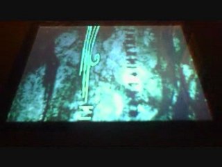 Waltrougth Tomb raider Underworld partie 17 + 18