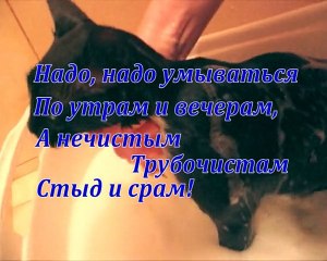 «Банный день» (Day of bathing)