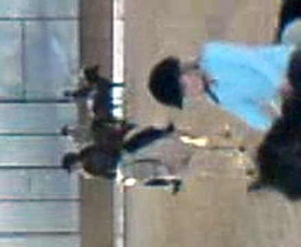 Transition Pas-Galop Main droite Cours du 19.O3.1O