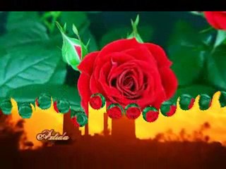 Νικολας Μεταξας -Αχ τριανταφυλλια μου!