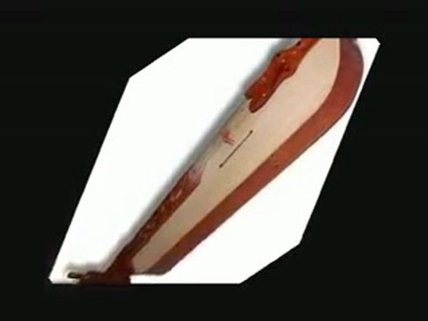 trabzon kemençe horon