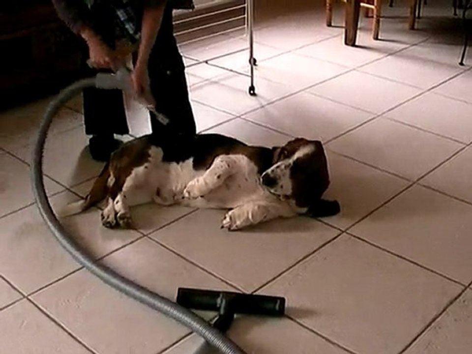 Nettoyage de printemps