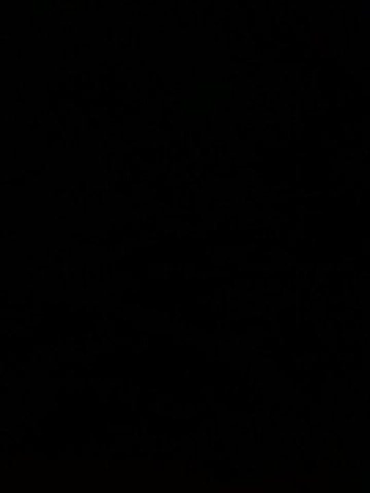 SBV 2010 - Damn Pocket Vaginas and Broken Water Vessels