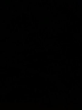 SBV 2010 - Damn Pocket Vaginas and Broken Water Vessels