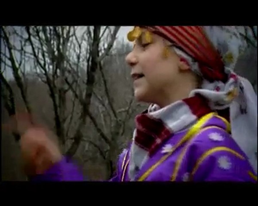 Cengiz Selimoğlu-Ortanca