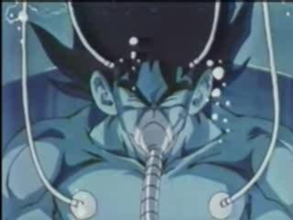 le pere de sangoku
