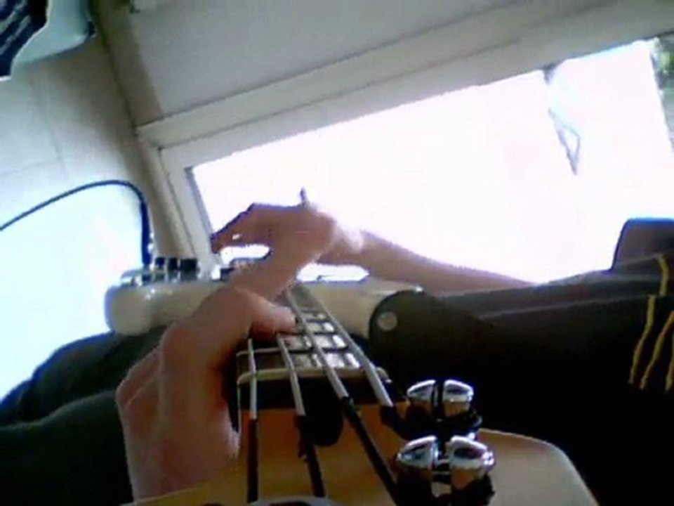 Red Hot Chili Peppers - Higher Ground Bass Cover