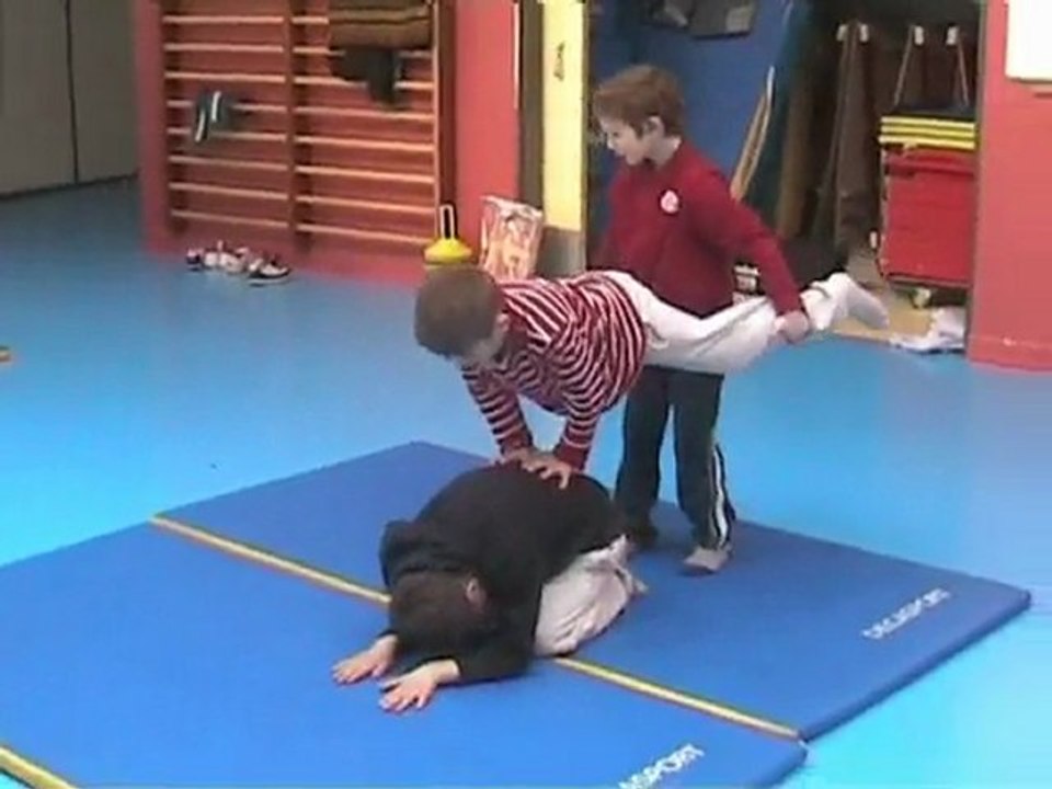 acrosport fin