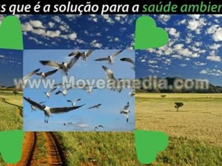 Alterações Climáticas ESOB