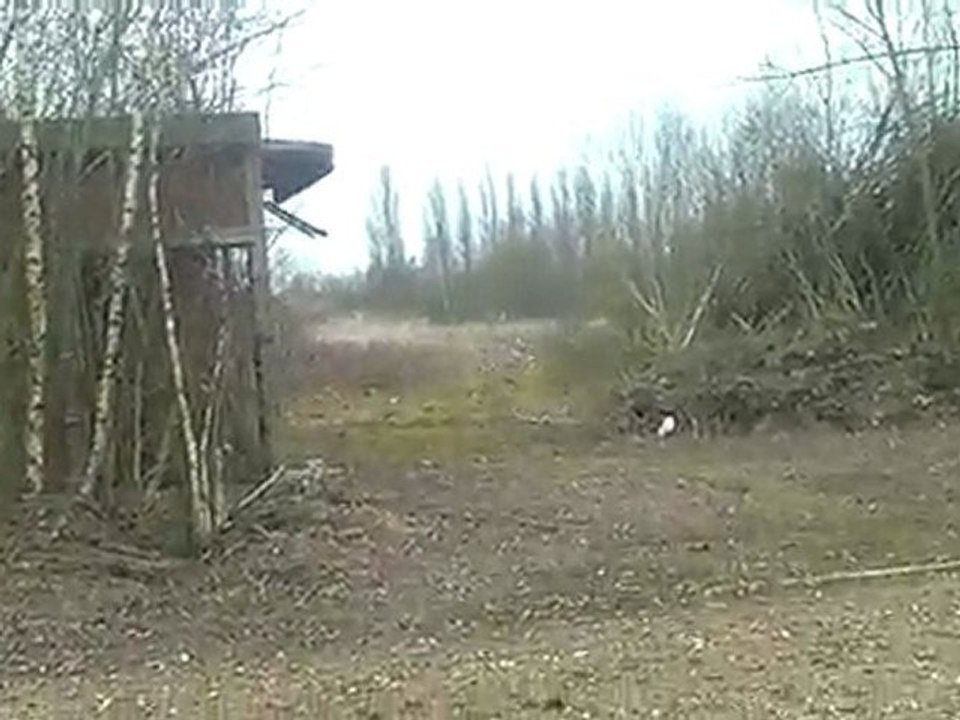 assaut mini bat