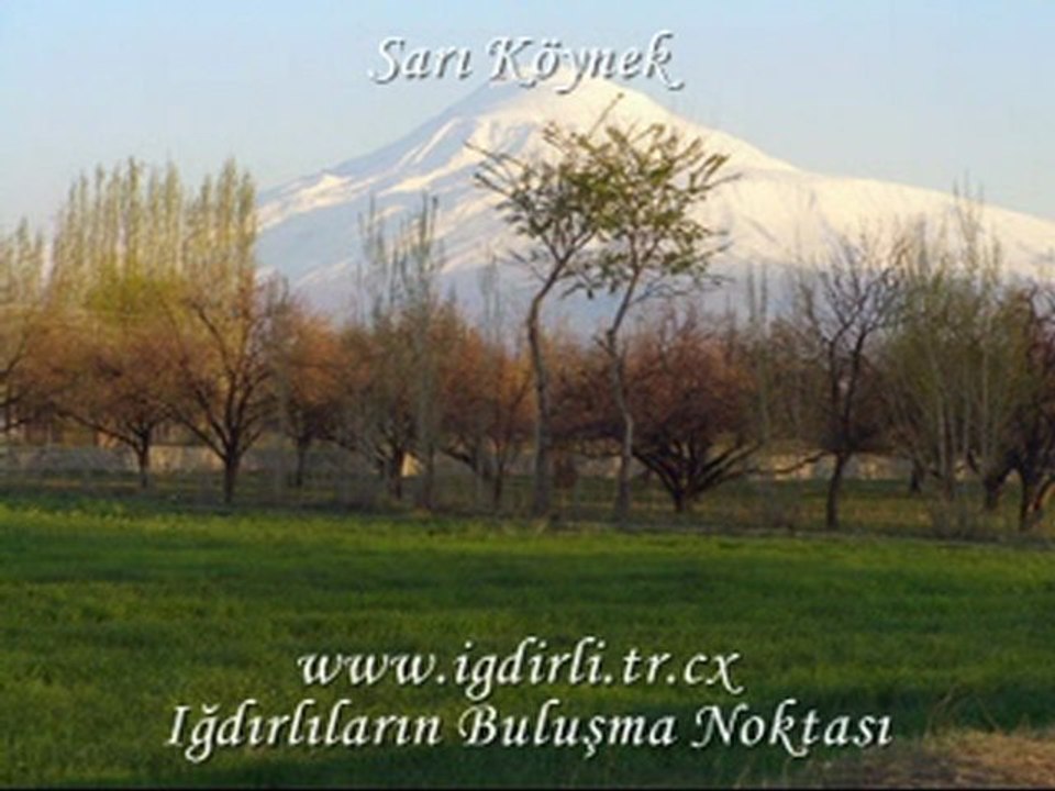 Sarı köynek | www.igdirli.net |