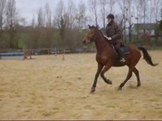 obstacle au galop