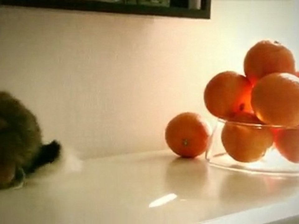 Les ventes privées de Chassons.com