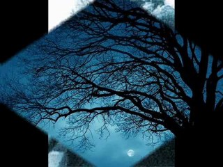 Neyzen - ŞEHNAZ TAKSİM