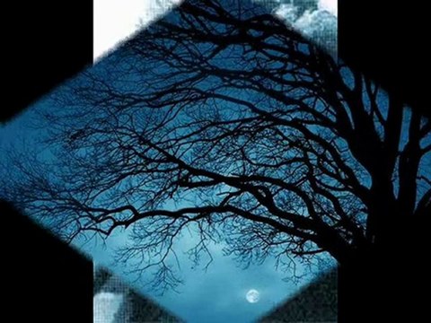 Neyzen - ŞEHNAZ TAKSİM