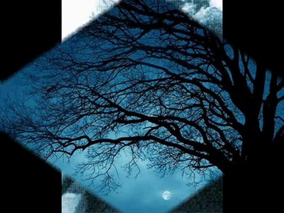 Neyzen - ŞEHNAZ TAKSİM