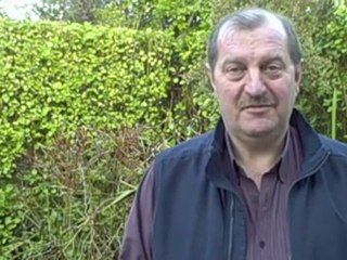 How To Find The Best Mlm Companies?