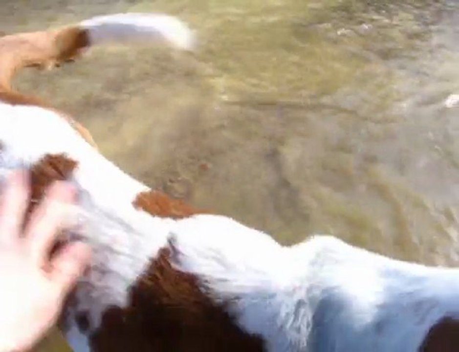 elite zyon baignade 2