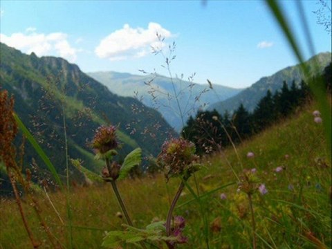 ÇAMLIHEMŞİN MANZARA dere beni boğamaz- kavrun.tr.gg
