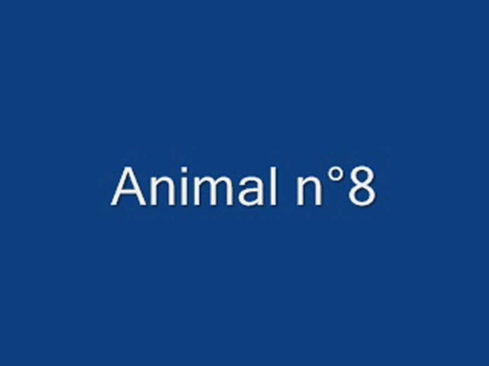 concours blindtest animaux