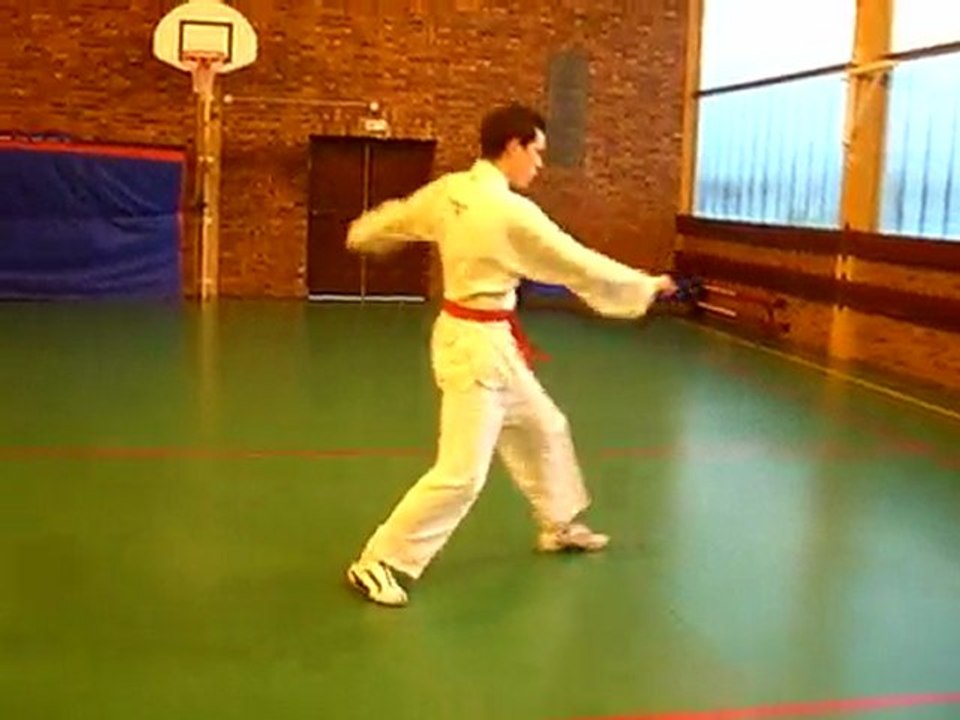 Djoson mars 2010 - Poomse solo5