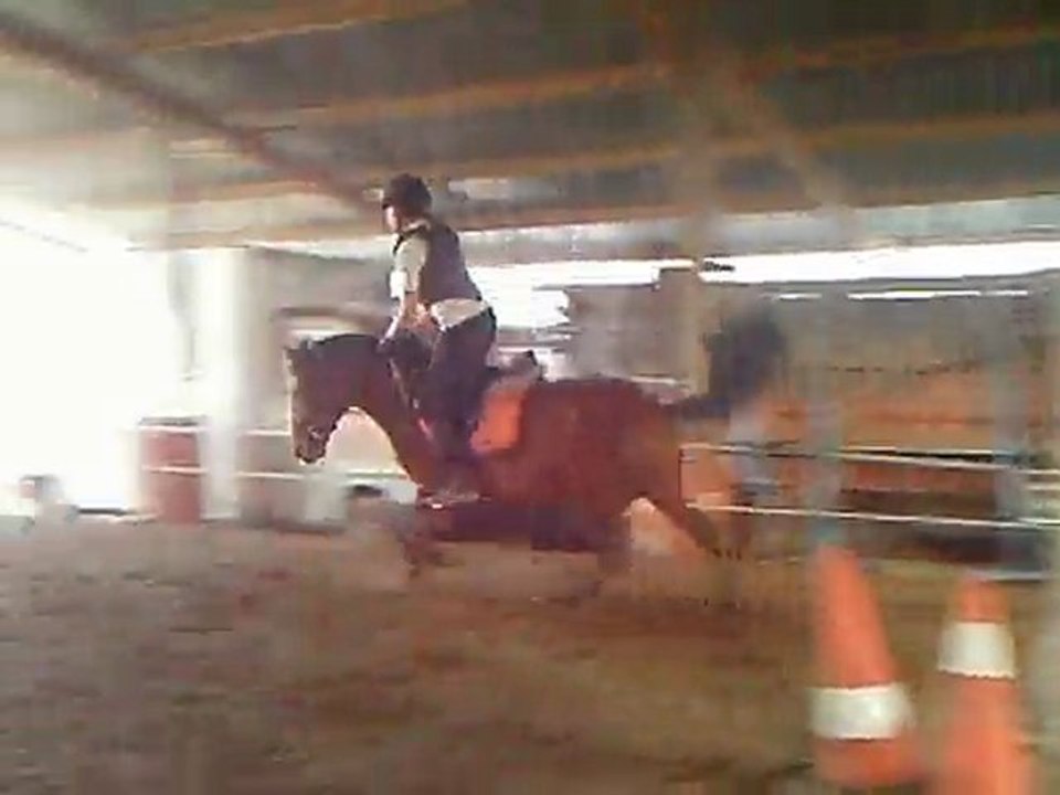 loulou c (5)