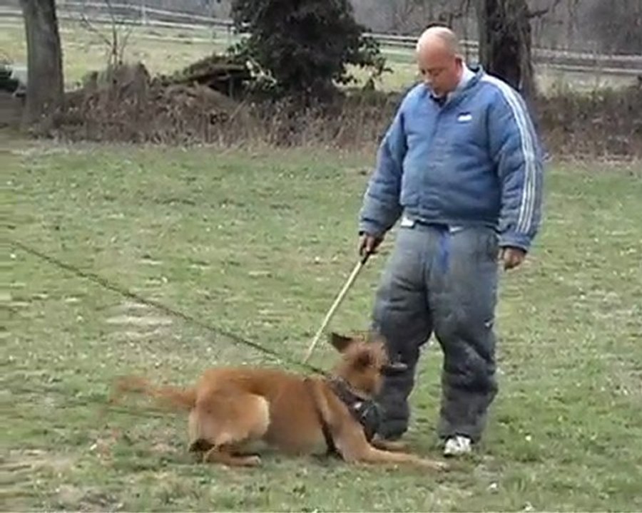 El'Boy 20.03.2010