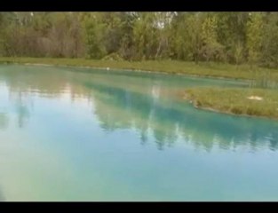 Pond Dye