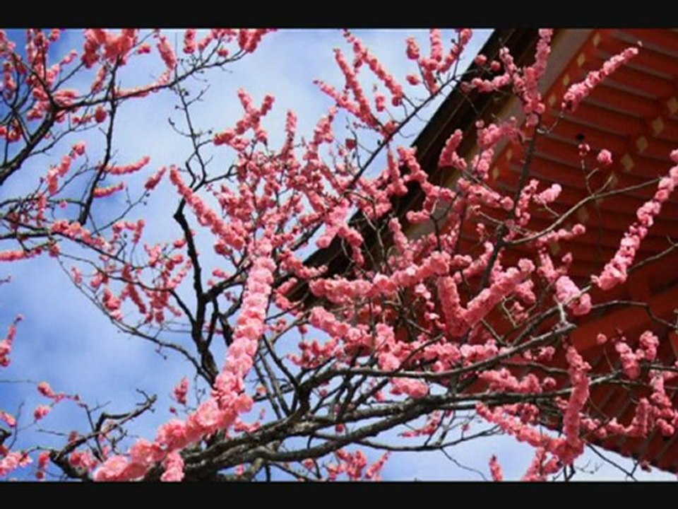 Kyoto 2d part